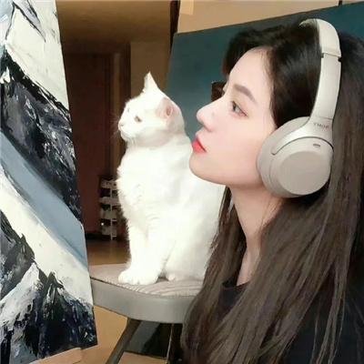 爱玩怪兽