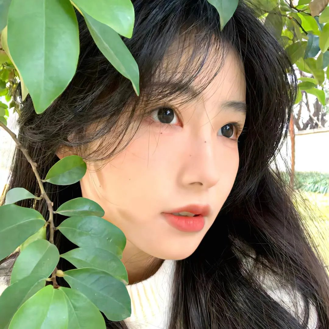 动灵守护者